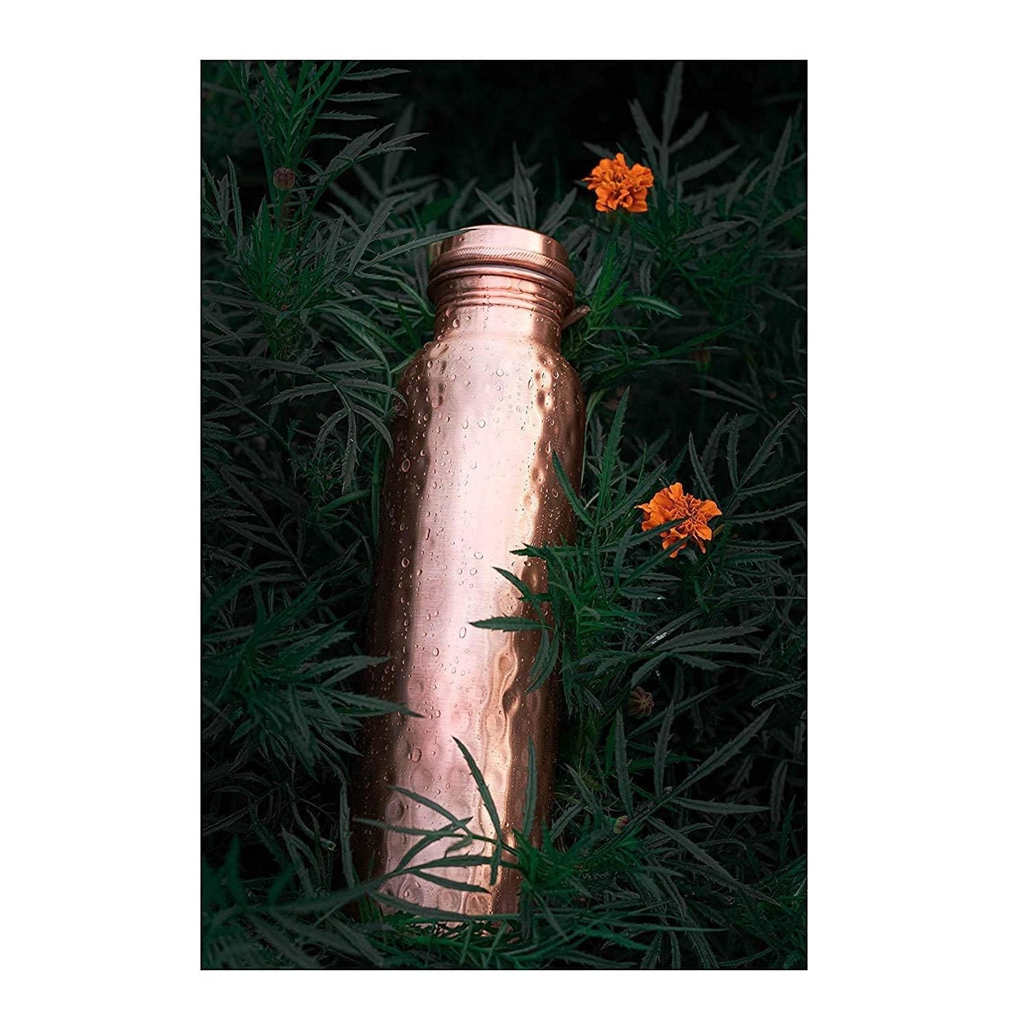 Set of 2 Leak-Proof Copper Water Bottles (950ml)